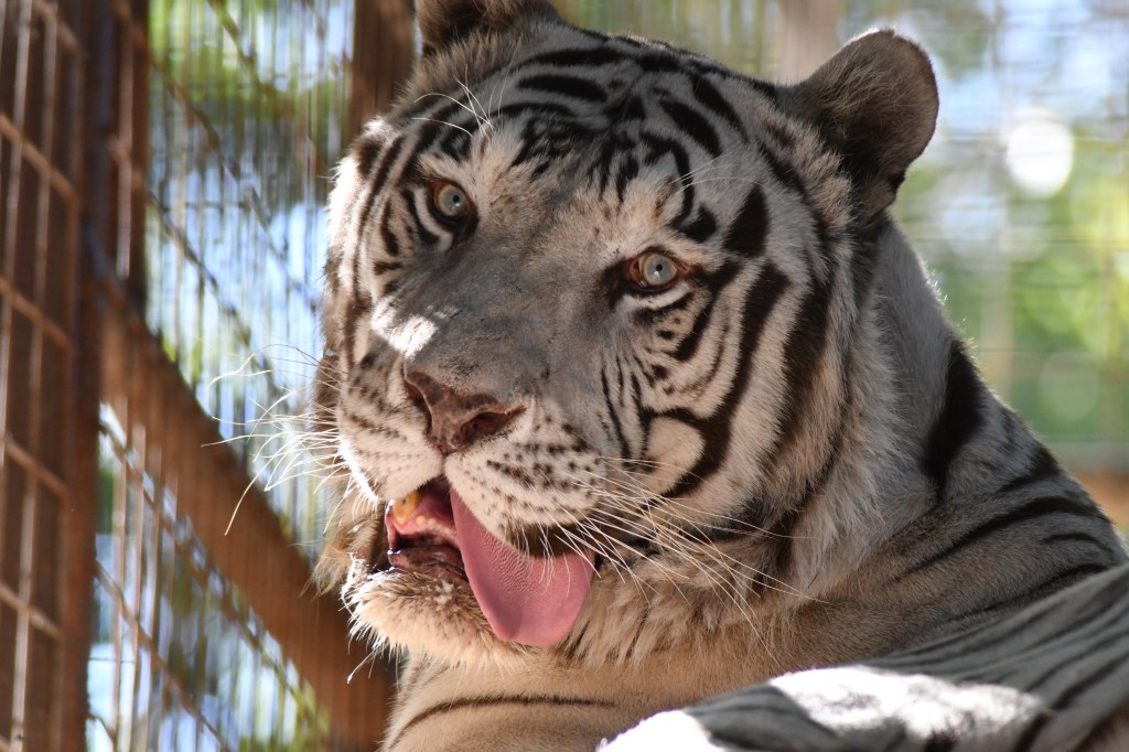 Field Notes: The&nbsp;Humbling